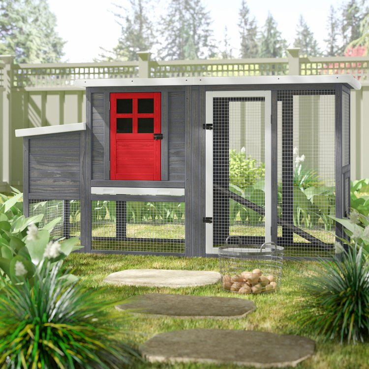 【Clearance Sale】Duchess Chicken Coop with Nesting Box