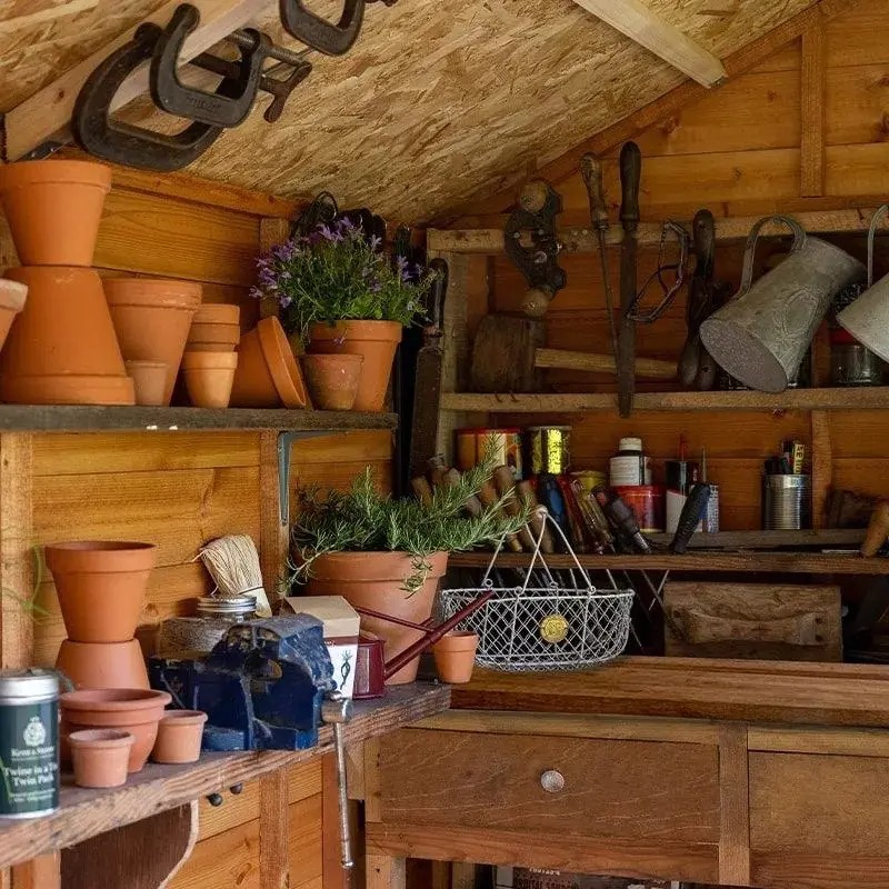 【Storage Shed】8' x 6' Forest Shiplap Potting Shed (1.8m x 2.4m)