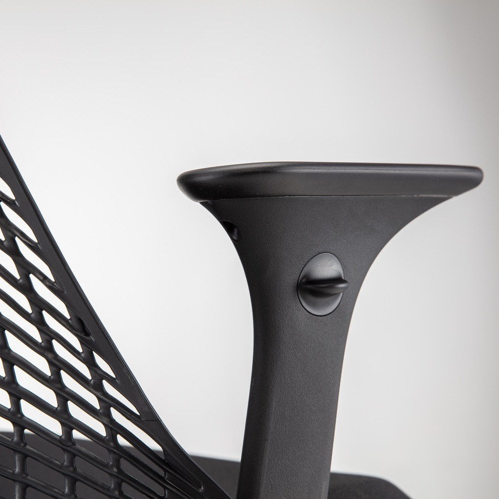 Herman Miller say Ergonomic Chair
